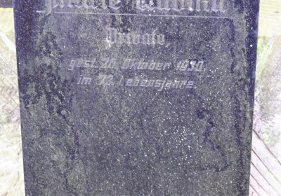 Siřem obecní, Omnium, 2020