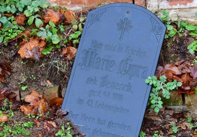 Siřem obecní, Omnium, 2020