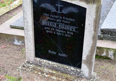 Siřem obecní, Omnium, 2020