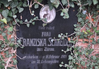 Siřem obecní, Omnium, 2020