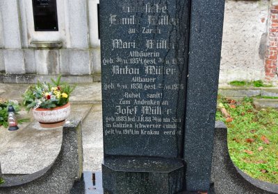 Siřem obecní, Omnium, 2020