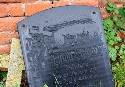 Siřem obecní, Omnium, 2020