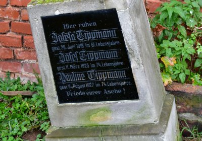 Siřem obecní, Omnium, 2020