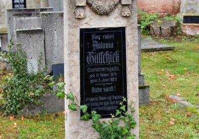 Siřem obecní, Omnium, 2020