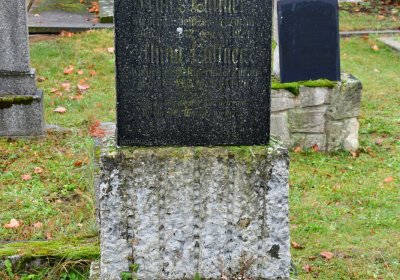 Siřem obecní, Omnium, 2020