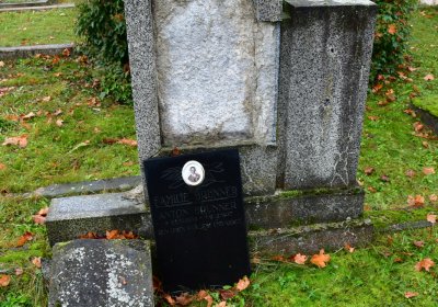 Siřem obecní, Omnium, 2020