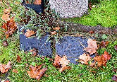 Siřem obecní, Omnium, 2020