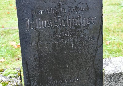 Siřem obecní, Omnium, 2020