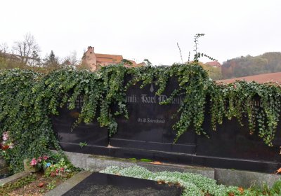 Siřem obecní, Omnium, 2020