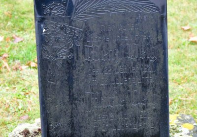 Siřem obecní, Omnium, 2020