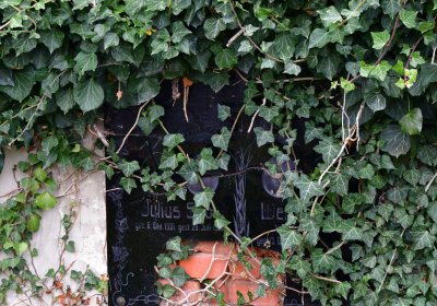 Siřem obecní, Omnium, 2020