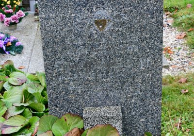 Siřem obecní, Omnium, 2020