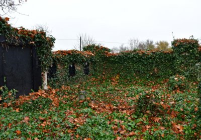 Siřem obecní, Omnium, 2020