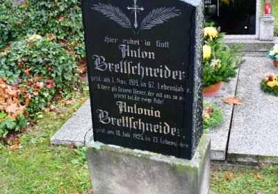 Siřem obecní, Omnium, 2020