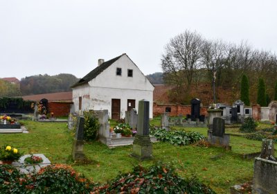 Siřem obecní, Omnium, 2020