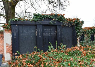 Siřem obecní, Omnium, 2020