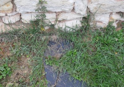 Liběšovice, Omnium, 2020