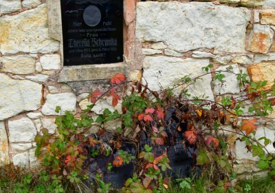 Liběšovice, Omnium, 2020