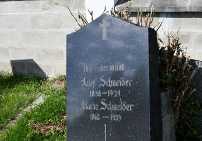 Lubenec, Omnium, 2020