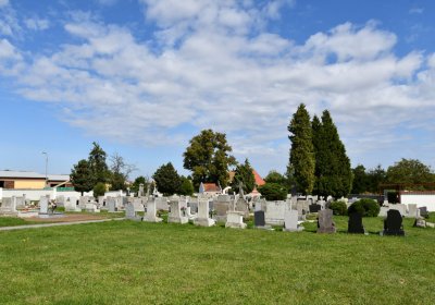 Lubenec, Omnium, 2020