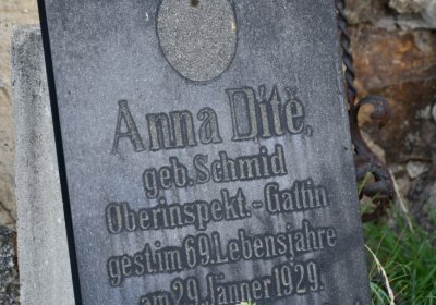 Lubenec, Omnium, 2020