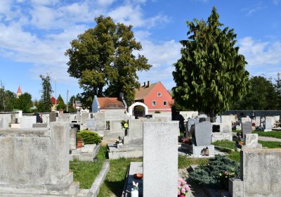 Lubenec, Omnium, 2020