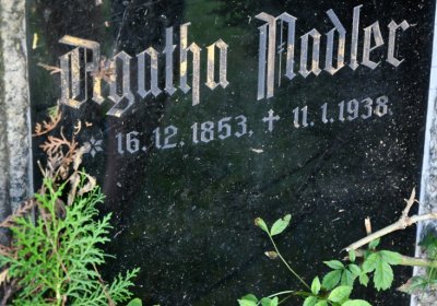 Lubenec, Omnium, 2020