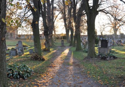 Tuchořice, Omnium, 2020