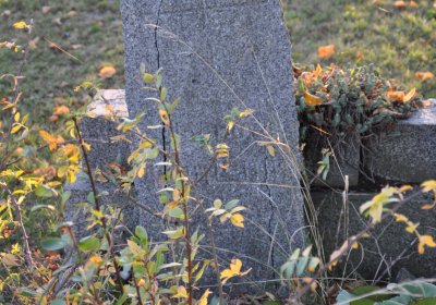 Tuchořice, Omnium, 2020