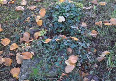 Tuchořice, Omnium, 2020