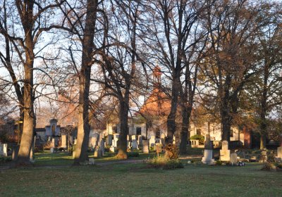 Tuchořice, Omnium, 2020