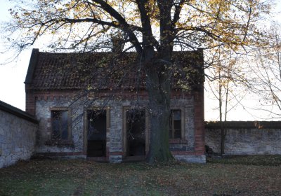 Tuchořice, Omnium, 2020