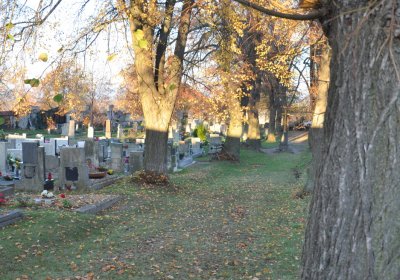 Tuchořice, Omnium, 2020