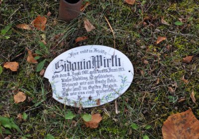 Tuchořice, Omnium, 2020