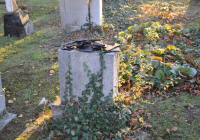 Tuchořice, Omnium, 2020