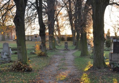 Tuchořice, Omnium, 2020