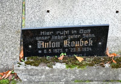 Tuchořice, Omnium, 2020