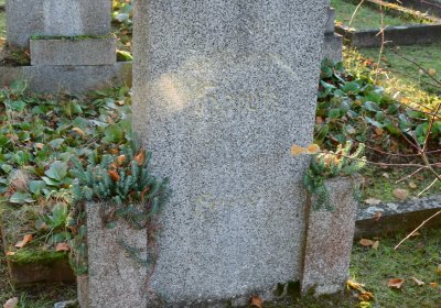 Tuchořice, Omnium, 2020