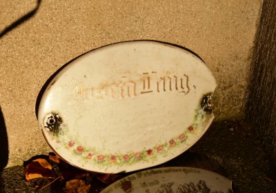 Tuchořice, Omnium, 2020