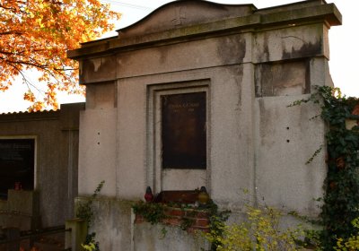 Tuchořice, Omnium, 2020