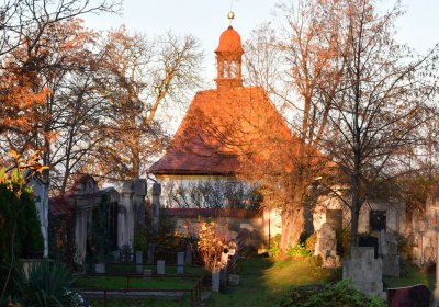 Tuchořice, Omnium, 2020