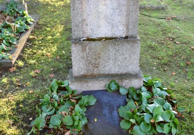 Tuchořice, Omnium, 2020