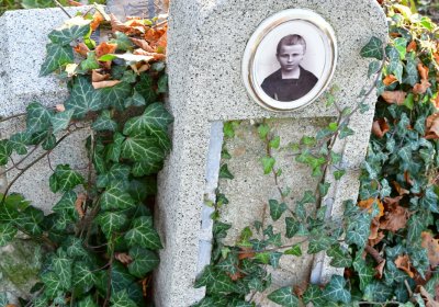 Tuchořice, Omnium, 2020