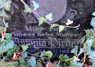 Tuchořice, Omnium, 2020