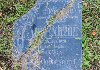 Tuchořice, Omnium, 2020