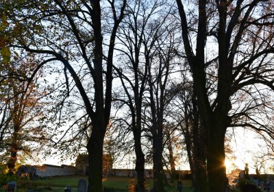 Tuchořice, Omnium, 2020