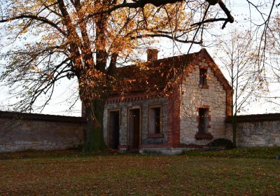 Tuchořice, Omnium, 2020