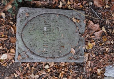 Nečemice, Omnium, 2020