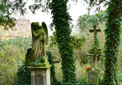 Nečemice, Omnium, 2020