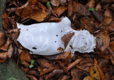 Nečemice, Omnium, 2020